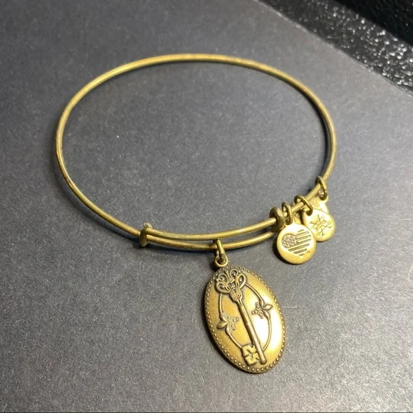 Alex and Ani Jewelry Alex And Ani Expandable Bracelet Gold